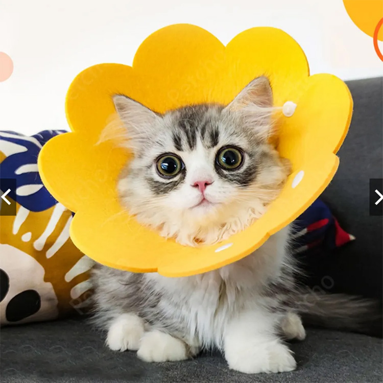 Pet Cone Elizabeth чувствовал себя защитным выздоровлением собачья воротник кошка